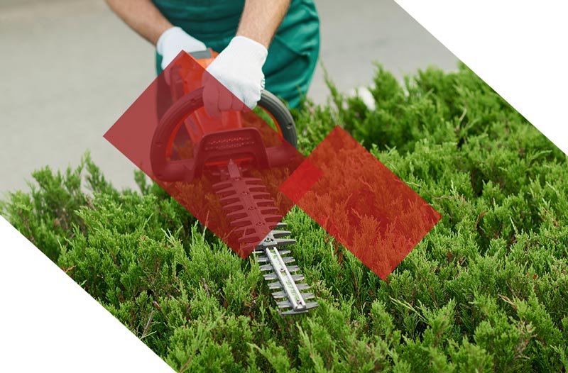 entretien espace vert Magnac-sur-Touvre